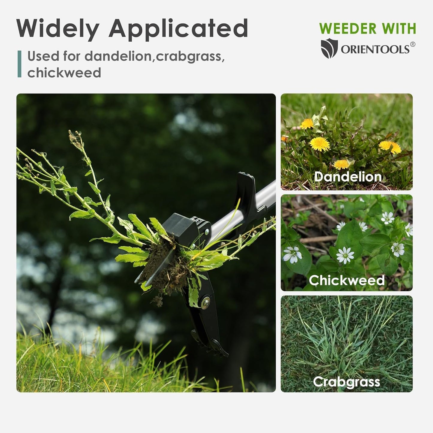 ORIENTOOLS 4 Claws Weed Puller Tool, Stand Up Weed Puller with Long Ergonomic Handle, Weed Puller Tool Stand Up Heavy Duty, Dandelion Picker, Garden Tools for Weeding, Weed Remover Tool for Lawn, Yard