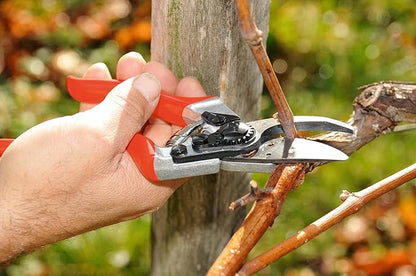 Felco F8 Pruning Shears – 8.3" Swiss-Made Garden Clippers with 1" Cutting Capacity for Ergonomic Comfort | Hand Pruners for Gardening | Garden Tool Cutter with Precision Bypass Blade, Aluminum Handles