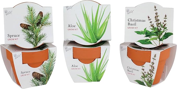 BUZZY Seeds Terracotta Mini Grow Pots | Herb, Plant, Flower Starter Kit for Kids & Adults | Assorted 6-Pack, Radiant Collection | Guaranteed to Grow | Best Indoor Grow Your Own Plant Gardening Gift