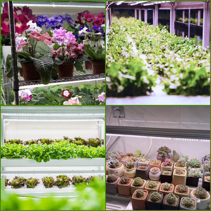 Grow Light T5 1.4Ft (8pcs x 10 Watts),5000k White Full Spectrum LED Lamp Plant Light Strips for Indoor Plant Growing,End-to-End Connectable with V-Shaped Reflector