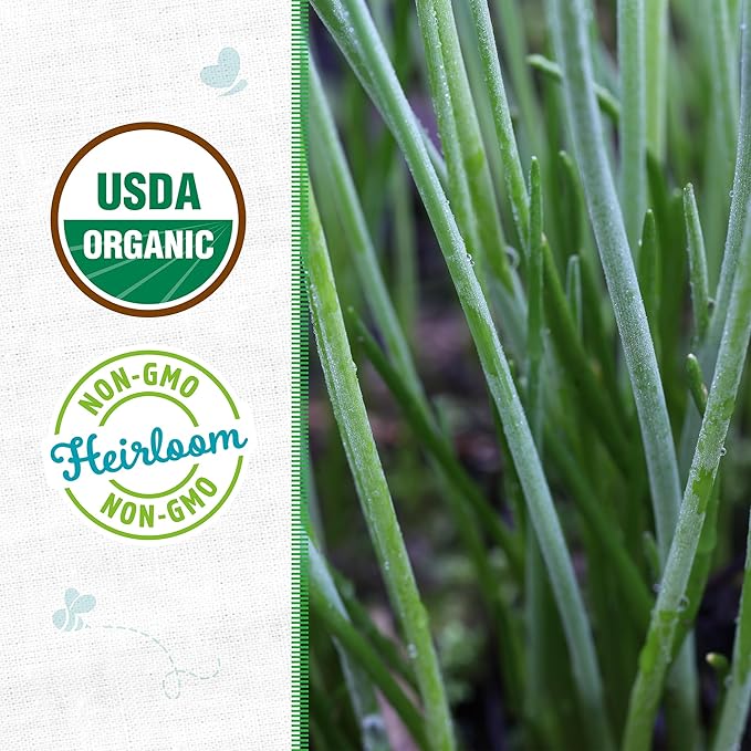 Back to The Roots 100% Organic Heirloom Seeds - Chives Value Pack (280mg Total)