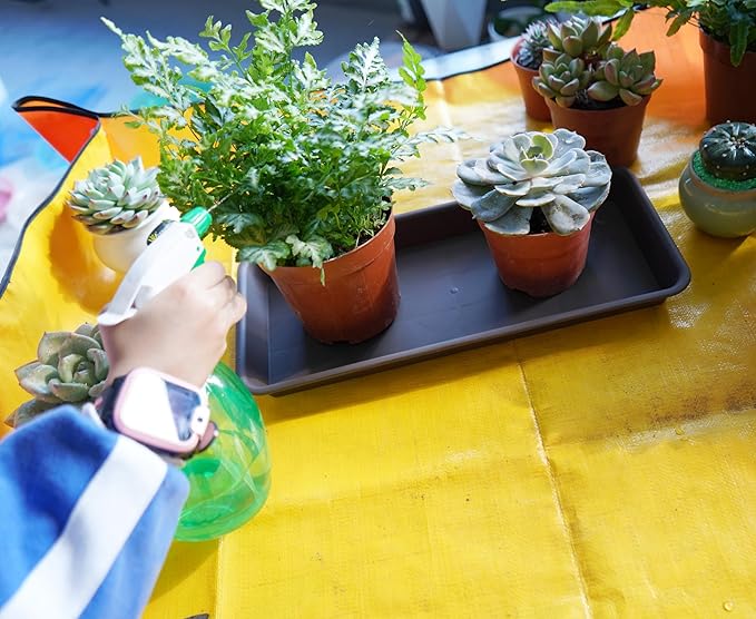 6 Pack Rectangular Plastic Plant Tray Saucer, Brown, 6 x 11 Inch, Modern Style, Durable, For Indoors & Outdoors, Protects Floor from Water, Fits Most Windowsills