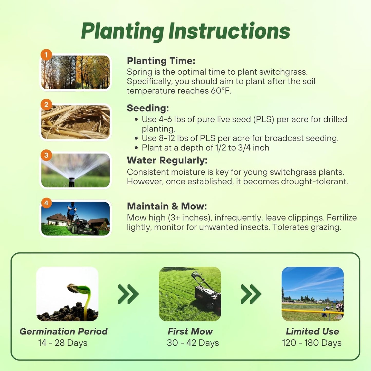 Outsidepride Switchgrass Seed - 5 lbs. Perennial Hardy, Drought & Flood Tolerant Native Grass Seed Ideal Fast-Growing Grasses for Erosion Control, Wildlife Forage & Food Plots, Thrives in Poor Soil