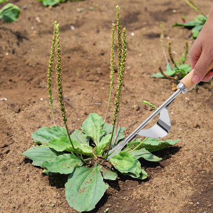 Gardening Hand Weeder Tools, 6 Teeth Uprooting Weeding Tool Multifunctional Manual Hand Weeder for Lawn Garden, Crack Weeder Crevice Weeding Tool, 3 PCS