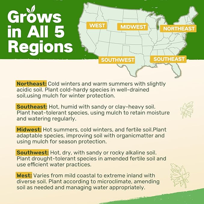 LUSH&DEW Cut Flower Seed Bank, Gift for Women Men, 32 Types Non-GMO Annual & Perennial Wildflower Seeds for Planting in Raised Garden Bed Greenhouse, Seed Storage Organizer, Zinnia Sunflower Zone 3-10