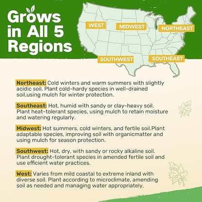 LUSH&DEW Cut Flower Seed Bank, Gift for Women Men, 32 Types Non-GMO Annual & Perennial Wildflower Seeds for Planting in Raised Garden Bed Greenhouse, Seed Storage Organizer, Zinnia Sunflower Zone 3-10