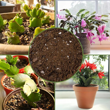 Christmas Cactus Potting Soil Mix (4 Quarts), Custom Blend for Xmas, Easter, and Thanksgiving Cactus Tropical Indoor Houseplants
