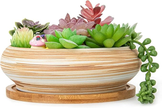 ARTKETTY Succulent Pots - Ceramic Bonsai Pots with Drainage Tray, 7.3 Inch Large Plant Pots Shallow Succulent Planters for Indoor Plants Decorative Cactus Flower Planter Bowl