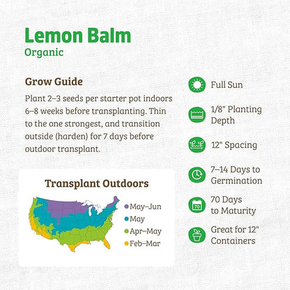 Back to The Roots 100% Organic Heirloom Seeds - Lemon Balm 'Melissa Officinalis' Value Pack (280mg Total)