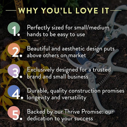 Modern Sprout Hand Pruners - Lightweight Pruning Shears W/Easy Lock- Gardening Scissors - Bypass Sharp Carbon Steel Blade - Rust Resistant - Garden Tools - Reusable Holster - Ocean