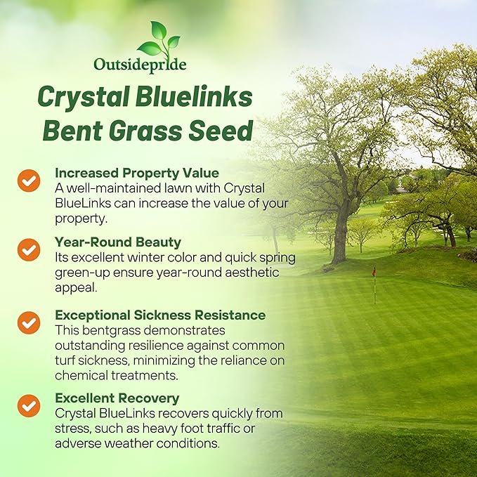 Outsidepride Crystal Bluelinks Creeping Bent Grass Seed - 5 lbs. Dense Turf Grass for Golf Greens & Putting Surfaces, Fine-Textured, Tolerant to Close Mowing for Smooth, Consistent Lawn Coverage