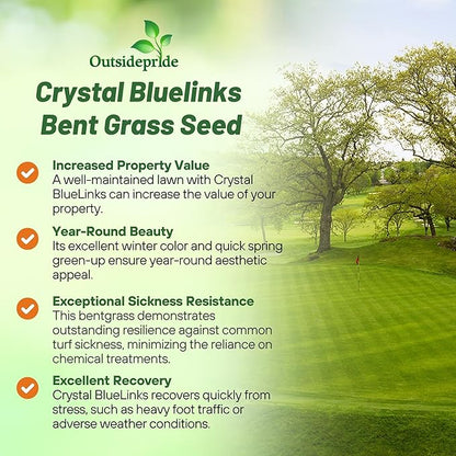 Outsidepride Crystal Bluelinks Creeping Bent Grass Seed - 5 lbs. Dense Turf Grass for Golf Greens & Putting Surfaces, Fine-Textured, Tolerant to Close Mowing for Smooth, Consistent Lawn Coverage