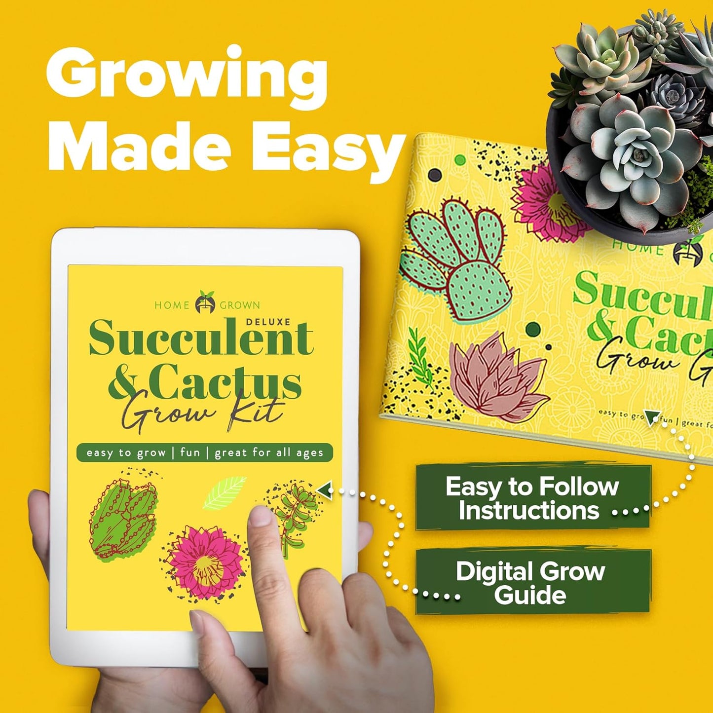 Succulent & Cactus Grow Kit – Complete Plant Gift Set with 4 Ceramic Pots & Trays, 6 Seed Packs (3 Cactus, 3 Succulent), Plant Markers, Peat Pellets, Nutrients & Guide – Ideal Holiday & Birthday Gift