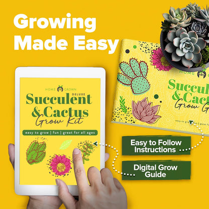 Succulent & Cactus Grow Kit – Complete Plant Gift Set with 4 Ceramic Pots & Trays, 6 Seed Packs (3 Cactus, 3 Succulent), Plant Markers, Peat Pellets, Nutrients & Guide – Ideal Holiday & Birthday Gift