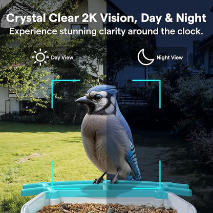 BirdsView Solar Powered Bird Feeder with 2K Ai Camera, Hummingbird Feeder, Bird House Camera, Live Alerts & Species Recognition – Gift for Bird Lovers
