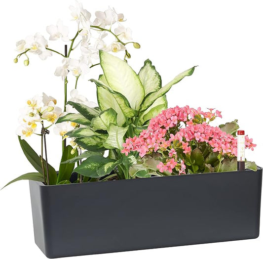 GardenBasix Elongated Self Watering Planter Pots Window Box 5.5 x 16 inch Indoor Home Garden Modern Decorative Planter Pot for All House Plants Flowers Herbs (Dark Grey,1-Pack)