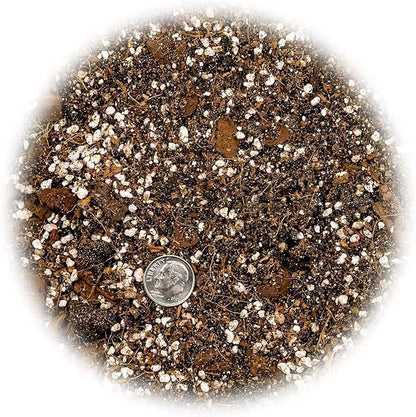 Gardenera Bromeliad Planting Mix - Promote Robust Root Development and Lush Foliage - 4 QUARTS