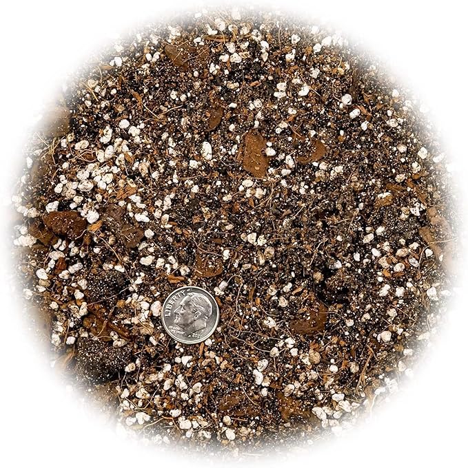 Gardenera Banana Tree Potting Soil - All-Natural Blend for Thriving Banana Trees - Promotes Deep Root Penetration and Optimal Nutrient Uptake (10 Quart)