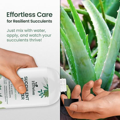 16oz Succulent Fertilizer - Makes 32 Gallons of Succulent Plant Food for Succulents Plants Live, Liquid Fertilizer for Succulents - Promotes Vibrant Leaves, Resilient Roots, and Plump Growth