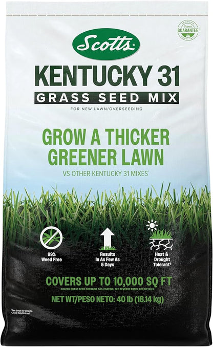 Scotts Kentucky 31 Grass Seed Mix for New Lawns or Overseeding, Grows Thicker and Greener vs. Other Kentucky 31 Mixes, Covers up to 10,000 sq. ft.