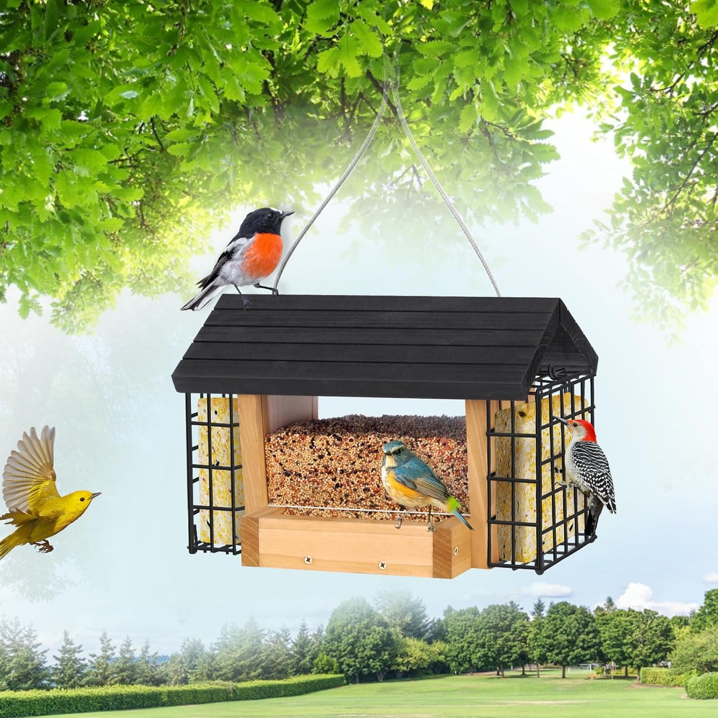 Hopper Bird Feeder for Outdoors Hanging, Wooden Bird Feeder with Double Suet Cage and Large Seed Capacity, Cedar Wood Suet Feeder with Weatherproof Roof, Garden Decoration