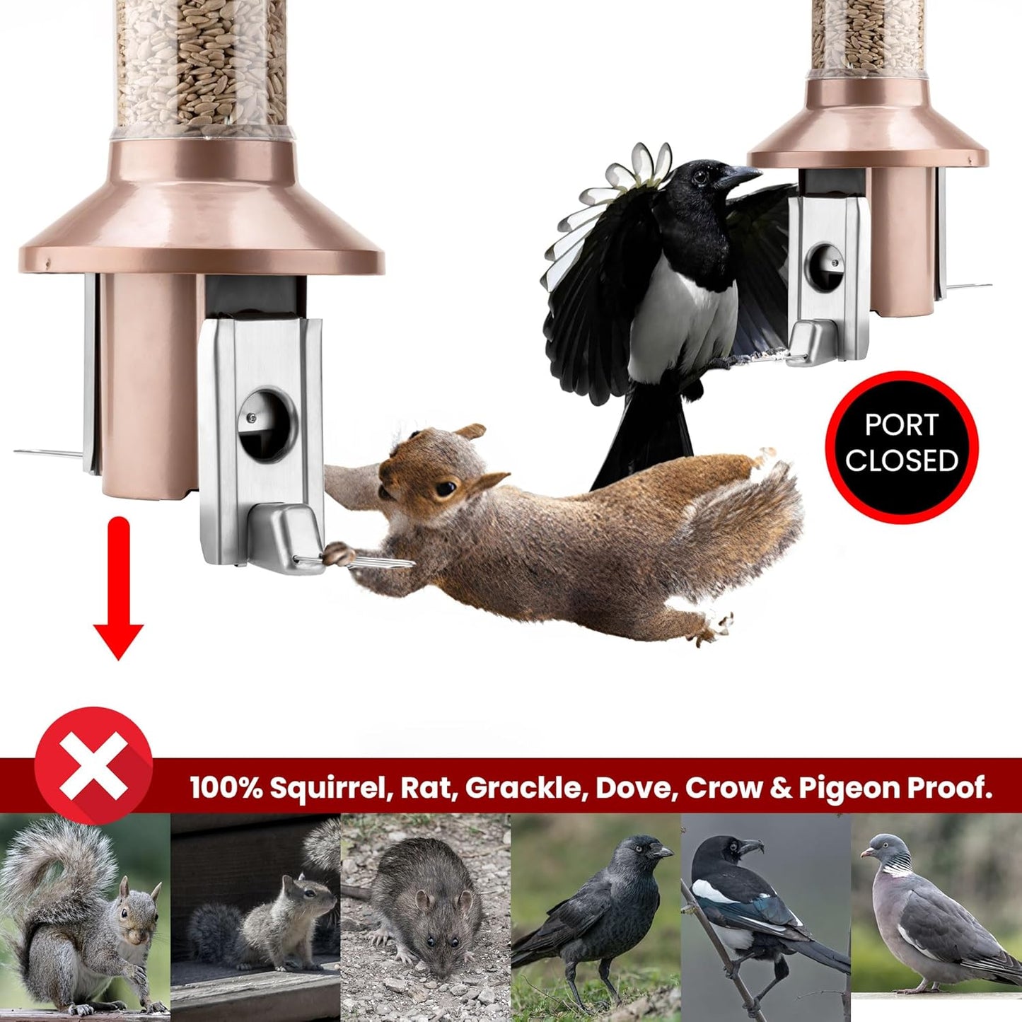 Roamwild 2.0 Squirrel Proof Wild Bird Feeder Mixed Seed Sunflower Heart Version - Now Greatly Improved - Antique Copper – Huge 4 POUND Seed Capacity – 26”x8”x8” (w/Hanger)