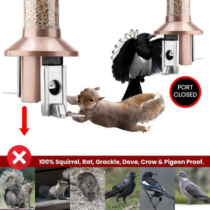 Roamwild 2.0 Squirrel Proof Wild Bird Feeder Mixed Seed Sunflower Heart Version - Now Greatly Improved - Antique Copper – Huge 4 POUND Seed Capacity – 26”x8”x8” (w/Hanger)