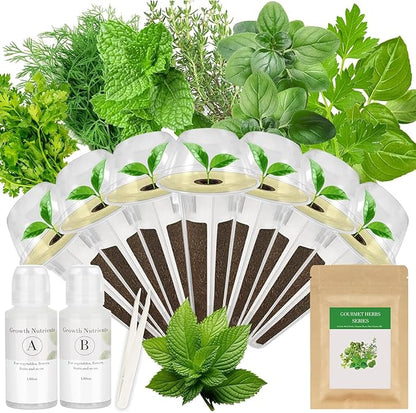 Gourmet Herbs Seed Pod Kit for AeroGarden, iDoo, Ahopegarden, MUFGA Hydroponics Garden with Basil, Parsley, Thyme, Mint, Cilantro, Dill, Oregano - Compatible with All Hydroponics (7-Pod)