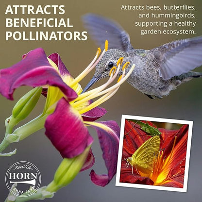 Double Charm Daylily Flower Bulbs – Double Lemon-Yellow Blooms – Easy-Grow, Drought-Tolerant Hardy Perennial for Full Sun (Zones 3–9) Fall Planting Spring Blooming