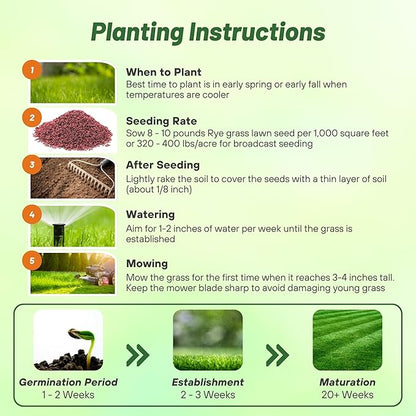 Outsidepride Fireball & Hattrick Rye Grass Seed Blend - 10 Lbs. Wear Tolerant, Fine Leaf Texture Perennial Rye Grass Seeds for Lawn, Sports Turf & More, OptiGrowth Coated for Better Establishment