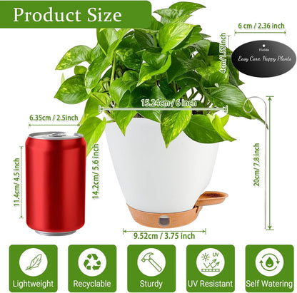 6 Inch Self Watering Pots for Indoor Plants (5-Pack) – Small Plastic Planters with Water Window, Drainage Holes & Trays, Indoor Outdoor Flower Pots for Herbs, Succulents, Home Garden Decor (White)