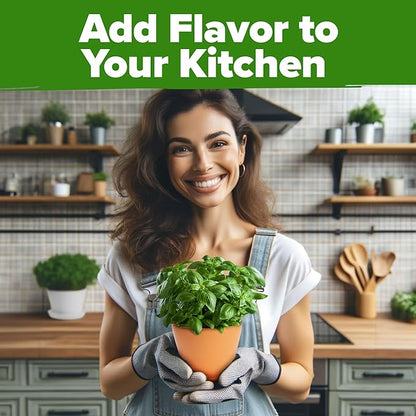 HOME GROWN 30 Herb Seeds for Planting 9,500+ Non-GMO Heirloom Seeds | Extra Large Variety Pack Herb Kit – Indoor Outdoor & Hydroponic | Culinary Seed Set | Grow Your Own Herbs | Gardening Gift