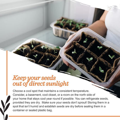 Seed Starter Kit – Salad Greens | Non-GMO | Heirloom Seed Packets | Natural Wood Row Markers | Over 100 Square Feet of Salad Greens