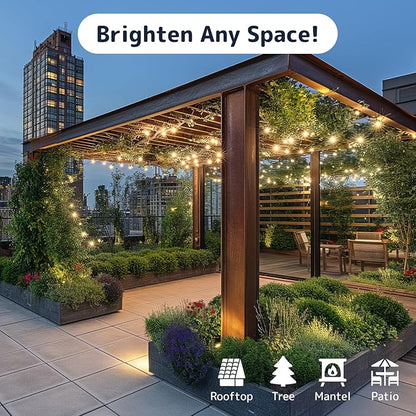 PREXTEX 200 Count Clear Christmas Tree Lights - 40 ft Warm Fairy String Lights with Green Wire - Indoor and Outdoor Mini Light for Christmas, Holiday Decorations, Trees, Fences, Patios and More