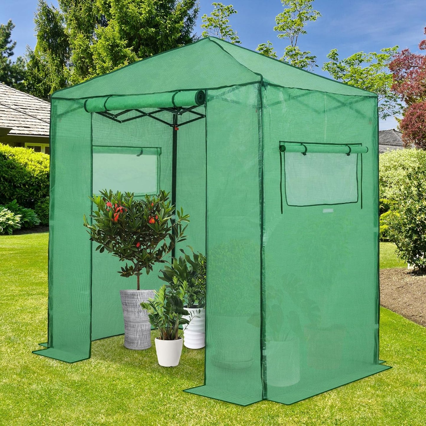 EAGLE PEAK Instant Pop-up Greenhouse, Indoor Outdoor Plant Gardening Green House, Roll-Up Zipper Doors and Side Windows, Walk in 6x4 ft, PE Cover, Green/Clear