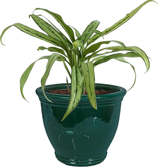 Sunnydaze Large Ceramic Plant Pot - Round Outdoor Glazed Ceramic Planter Pot with Drainage - Studio - Dark Green - 15"