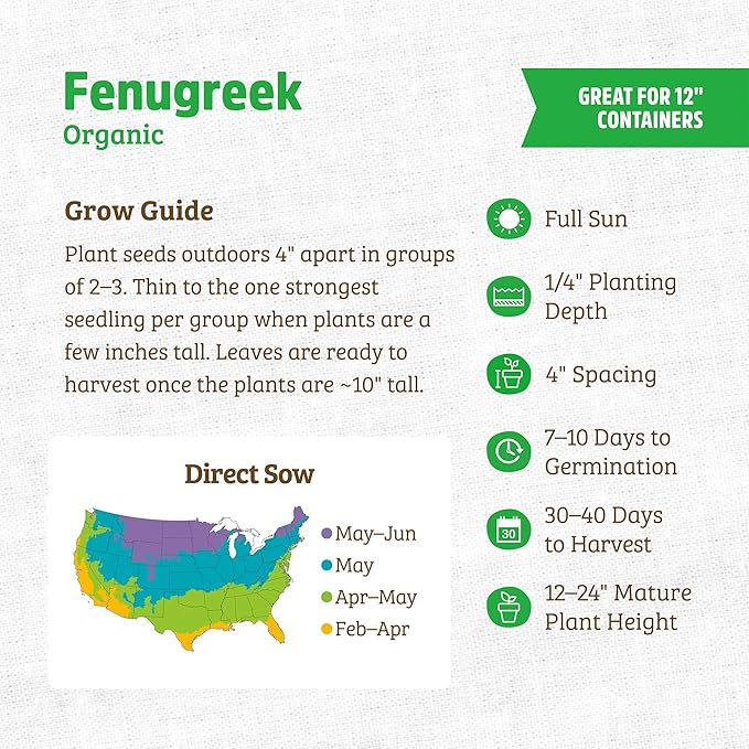 Back to The Roots 100% Organic Heirloom Seeds - Fenugreek Gardening Seeds Value Pack (2g Total)