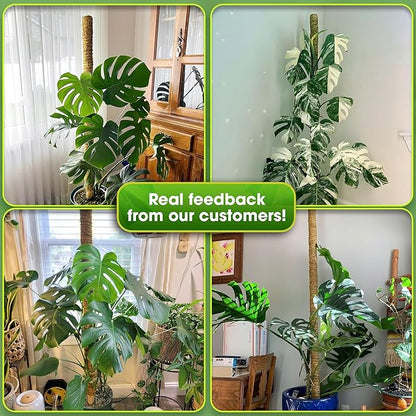 DUSPRO 59 Inches Non-Bendable Pole for Big Climbing Plants, Large Moss Pole for Monstera, Indoor Plant Stakes, Support (1pc., 59'')