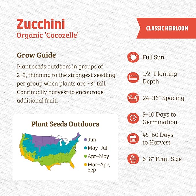 Back to The Roots 100% Organic Heirloom Seeds - Zucchini Squash Value Pack (5.6g Total)