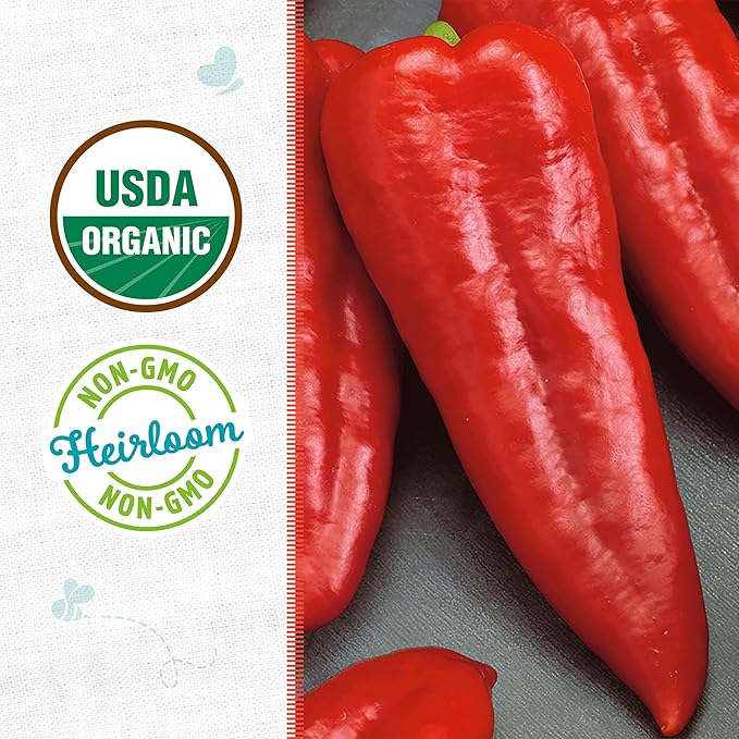 Back to The Roots 100% Organic Heirloom Seeds - Long Sweet Red Pepper Value Pack (280mg Total)