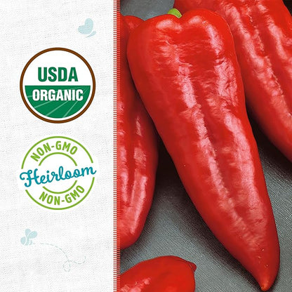 Back to The Roots 100% Organic Heirloom Seeds - Long Sweet Red Pepper Value Pack (280mg Total)
