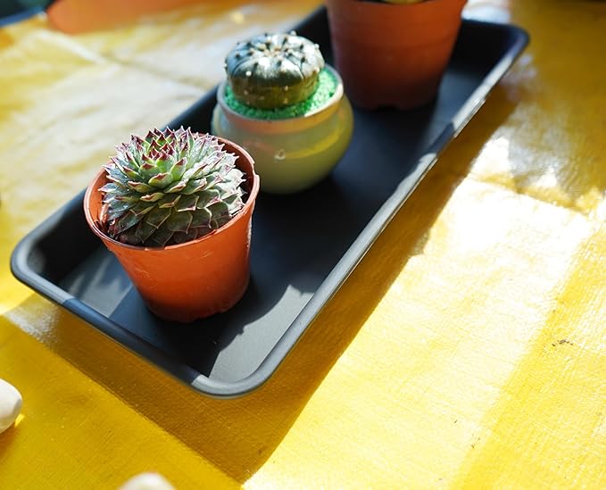 Plant Saucer Tray, Heavy Sturdy Long Narrow Plastic Plant Saucers Drainage Trays for Indoors No Holes, Plant Drip Trays for Pots Base, Seed Starter Growing Tray (6.5 X 13 inch, Black)