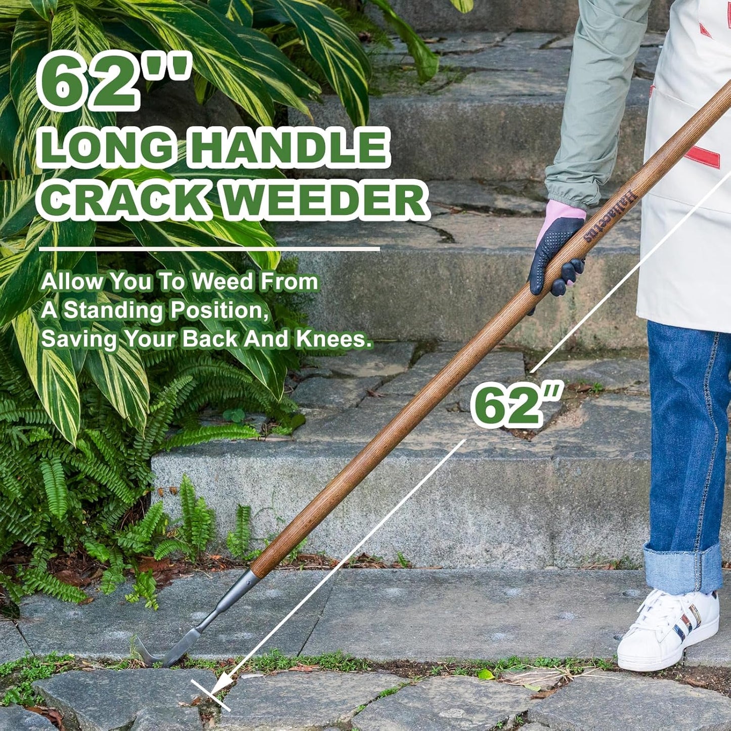 Haliaeetus Long Handle Crack Weeder, 62'' L-Shaped Stainless Steel Crevice Weeding Tool, Comfortable Wood Handle Paver Weeder, Sidewalk Weed Removal Tool for Driveway, Bricked Patio, Terrace Paving