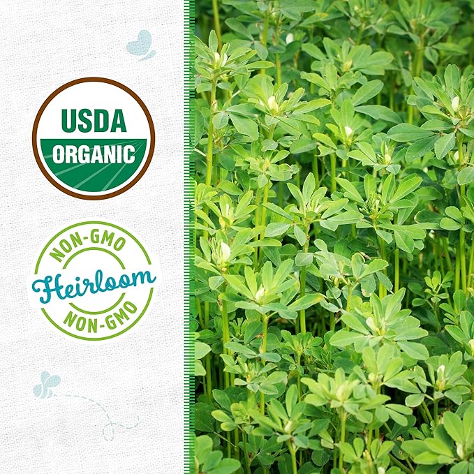 Back to The Roots 100% Organic Heirloom Seeds - Fenugreek Gardening Seeds Value Pack (2g Total)