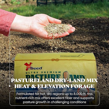 X-Seed Pasture Land Dry-Land Forage Seed Mixture with Micro-Boost – Tall Fescue Orchard Grass Ryegrass Endophyte Free Pasture for Safe Nutrition of Livestock, Formulated for Dry Areas – 25-Pound Bag