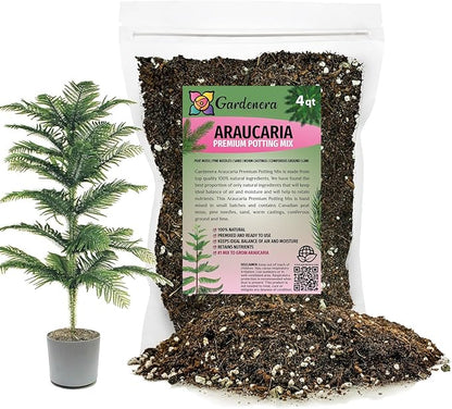 GARDENERA Premium Araucaria Potting Soil Mix - Perfect Balance of Nutrients, Drainage, and Aeration for Healthy Araucaria Trees - 4 Quart