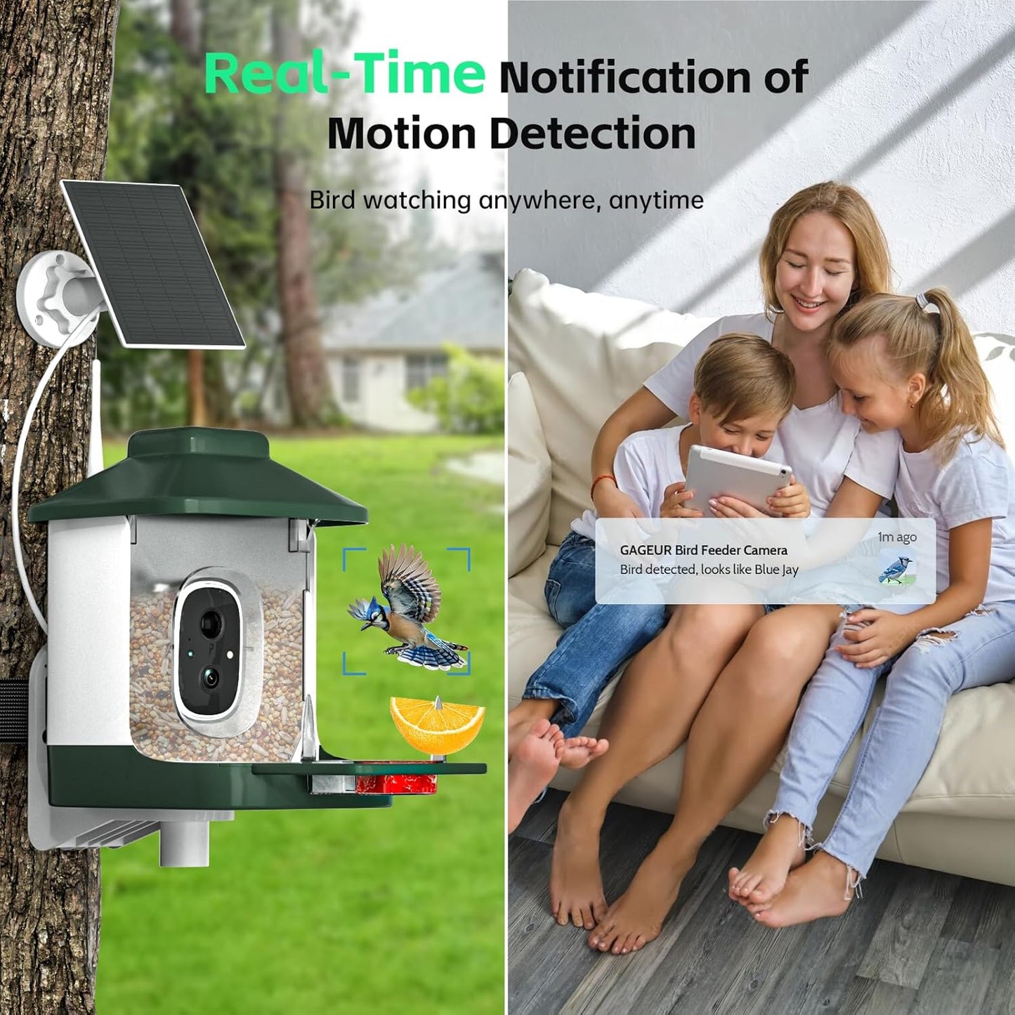 Smart Bird Feeder with Camera, AI Identify Bi rd Species Solar Powered,Full HD Live Video Bird Feeder Camera, 2.4Ghz WiFi,Nstant Arrival Alerts - Best Gifts for Bi rd Lover
