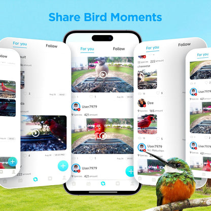 Solar Smart Bird Feeder with Camera,Stable Link via Signal Transmitter (Plug to Router),One-Step QR Scan,Elderly-Friendly,AI Bird ID,2K HD Live Video & 5MP Photos,Instant Arrival Alerts