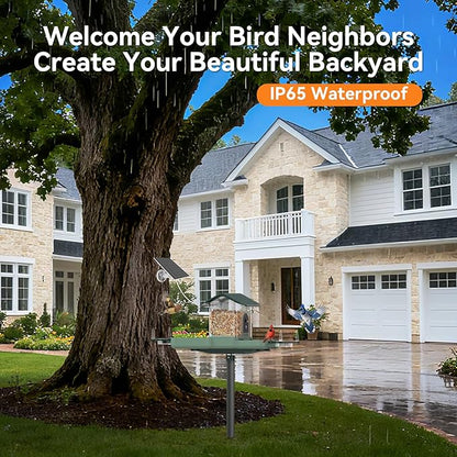 Dual-Lens Bird Feeder with Camera & Bird Bath Combo, Watch Birds Eat & Bathe with WiFi 2K HD Video, Auto Record, AI Recognition, APP Alerts, Solar Powered, for Backyard Garden Porch Fence Decor