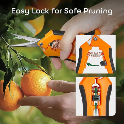 GROWNEER 6 Packs Pruning Shears Gardening Hand Pruning Snips with Straight Stainless Steel Precision Blades